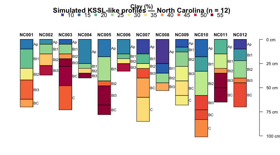 Simulated KSSL-like profiles for 12 North Carolina pedons. Each strip is one profile; colours encode clay content (%). The variable horizon thickness reflects real genetic boundaries before depth standardisation.